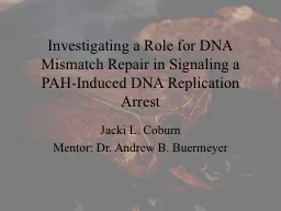 Investigating a Role for DNA Mismatch Repair in Signaling a