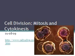 Cell Division: Mitosis and