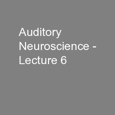 Auditory Neuroscience - Lecture 6