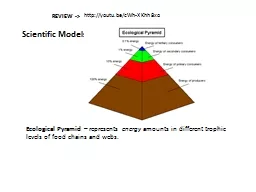 Scientific Models