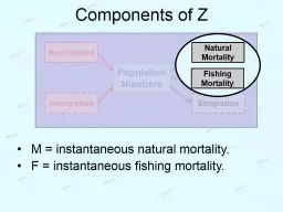 Components of Z