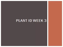 Plant ID Week 3