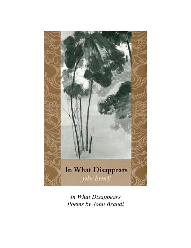 In What Disappears Poems by John Brandi