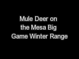 Mule Deer on the Mesa Big Game Winter Range