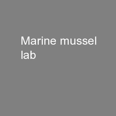Marine Mussel Lab