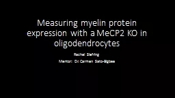 Measuring myelin protein expression with a MeCP2 KO in olig