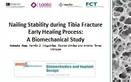 Nailing Stability during Tibia Fracture Early Healing Proce