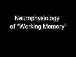 Neurophysiology of “Working Memory”