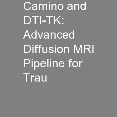 Camino and DTI-TK: Advanced Diffusion MRI Pipeline for Trau