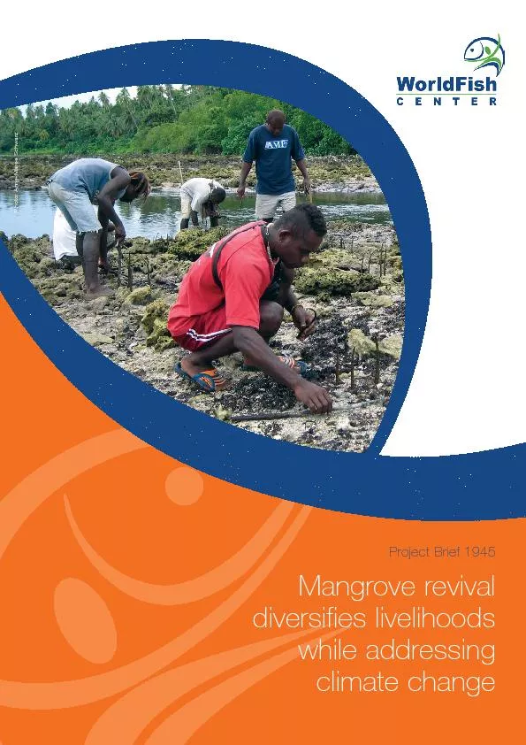 Mangrove revivaldiversifies livelihoods while addressingclimate change