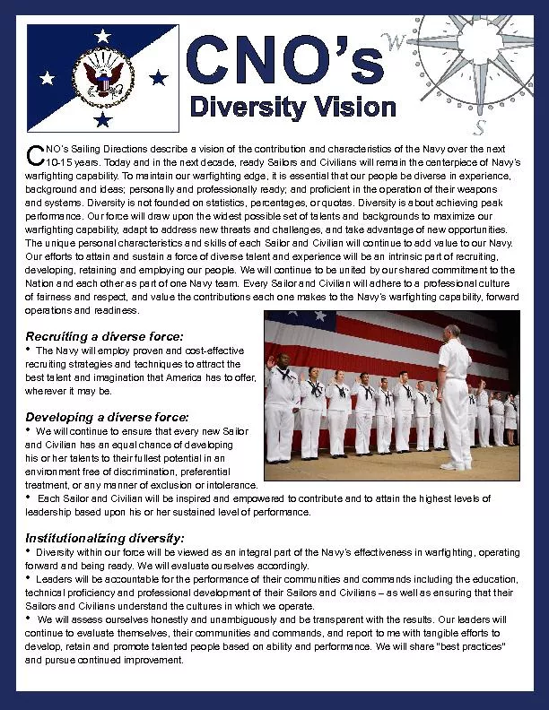 Diversity Vision