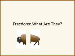 Fractions: What Are They?