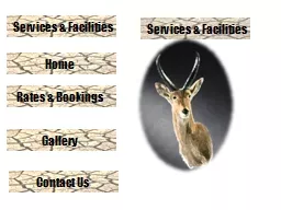 Services & Facilities