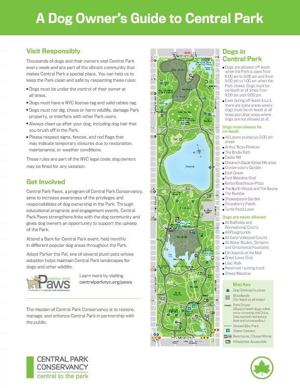 Visit ResponsiblyThousands of dogs and their owners visit Central Park