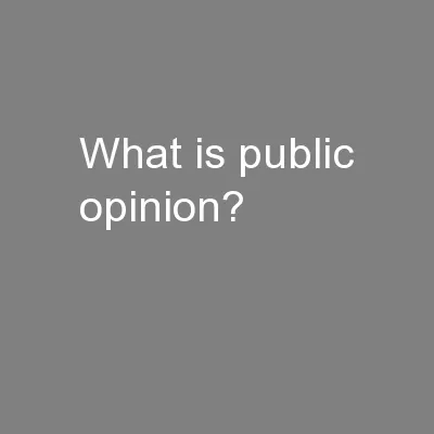 What is public opinion?