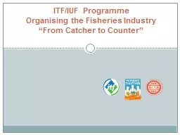 ITF/IUF Programme