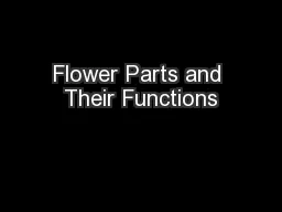 Flower Parts and Their Functions