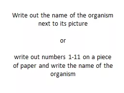 Write out the name of the organism next to its picture