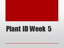 Plant ID Week 5
