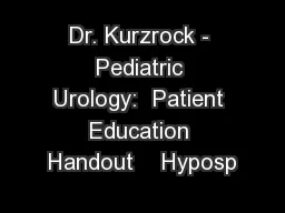 Dr. Kurzrock - Pediatric Urology:  Patient Education Handout    Hyposp