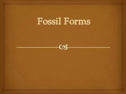 Fossil Forms