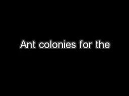 Ant colonies for the