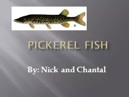 Pickerel Fish
