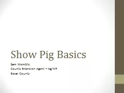 Show Pig Basics