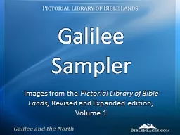 Galilee Sampler