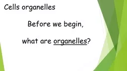 Cells organelles