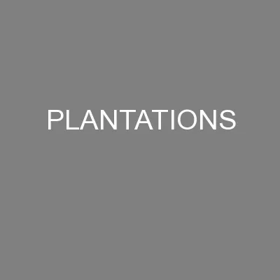 PLANTATIONS