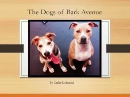 The Dogs of Bark Avenue