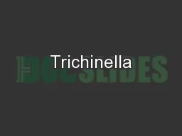 Trichinella