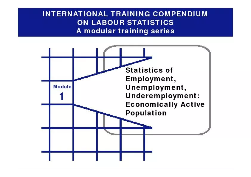 INTERNATIONAL TRAINING COMPENDIUMON LABOUR STATISTICSA modular trainin