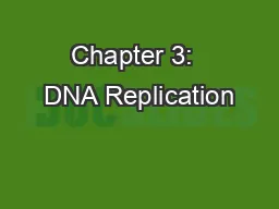 Chapter 3:  DNA Replication
