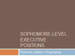 Sophomore-Level Executive Positions