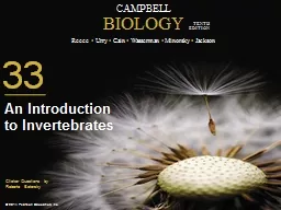 0 An Introduction to Invertebrates