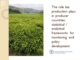 The role tea production plays in producer countries: statis