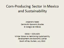 Corn-Producing Sector in Mexico and Sustainability