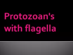 Protozoan's with flagella