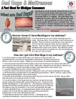 How do I know if I have Bed Bugs in my mattress How do