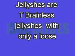Jellyshes are T Brainless jellyshes  with only a loose