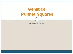 Human Bio 11