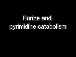 Purine and pyrimidine catabolism
