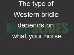 The type of Western bridle depends on what your horse