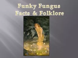 Funky Fungus