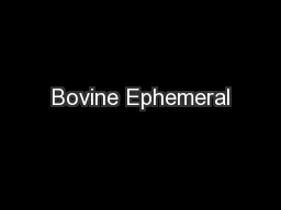 Bovine Ephemeral