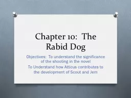 Chapter 10:  The Rabid Dog