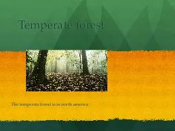 Temperate forest