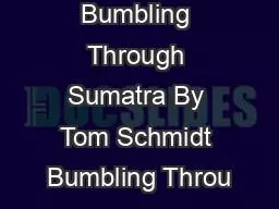 Bumbling Through Sumatra By Tom Schmidt Bumbling Throu